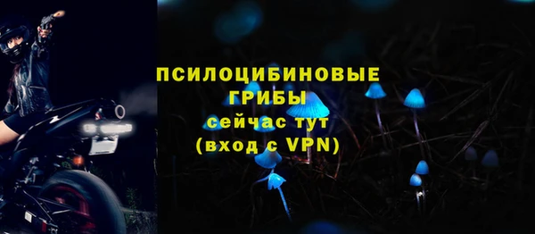 ГАЛЛЮЦИНОГЕННЫЕ ГРИБЫ Баксан