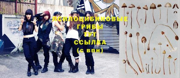 скорость Белокуриха