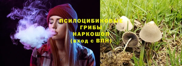 скорость Белокуриха